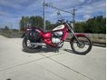 APRILIA RED ROSE 50 