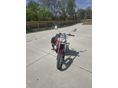APRILIA RED ROSE 50 2002/6 - 5