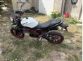 SUZUKI SV 650 N 2024/4 - 3