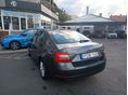 SKODA OCTAVIA 2017/7 - 6