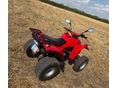 ADLY ATV 300 2004/4 - 5