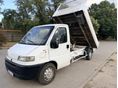 FIAT DUCATO 14 2.8 D Cabinato M1C