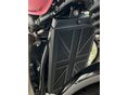 TRIUMPH SPEED TWIN 2024/9 - 4