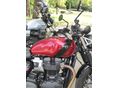 TRIUMPH SPEED TWIN 2024/9 - 7