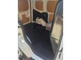 FORD COURIER 2016/6 - 8