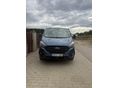 FORD TRANSIT Custom 2.0 TDCi 310 L2H1 Trend