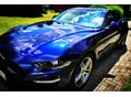 FORD MUSTANG Fastback GT 5.0 Ti-VCT