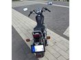 HONDA CA 125 REBEL 1996/8 - 3