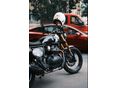 ROYAL ENFIELD BEAR 650 Golden Shadow
