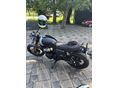 ROYAL ENFIELD BEAR 650 2026/4 - 10