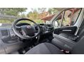FIAT DUCATO 2020/9 - 8