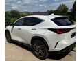 LEXUS NX 2024 - 2