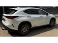 LEXUS NX 2024 - 3