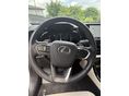 LEXUS NX 2024 - 5
