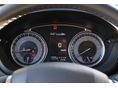 SUZUKI S-CROSS 2023/3 - 10