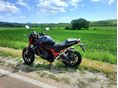 HONDA CB 750 HORNET 2023/4 - 3