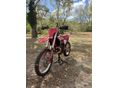 GAS GAS MC 250 