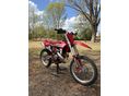 GAS GAS MC 250 2023/4 - 2
