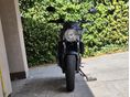 SUZUKI SV 650 N 2023/4 - 2