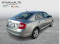 SKODA RAPID 2013/9 - 2