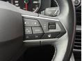 SEAT LEON 2021/3 - 28