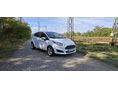 FORD FIESTA 1.25 Technology Végig Ford Márkaszervizes