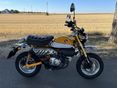 HONDA Z 125 MONKEY 2020/7 - 2