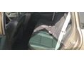 RENAULT GRAND SCENIC 2012/4 - 7
