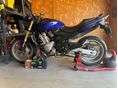 HONDA CB 600 F (HORNET) Honda CBF 600 hornet