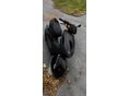YAMAHA AEROX 2005/6 - 2