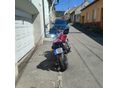 HONDA CB 900 F (HORNET) 2006/4 - 4