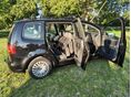 VOLKSWAGEN TOURAN 2013/1 - 9