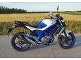 SUZUKI SFV 