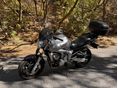 YAMAHA FZ6-N 2004 - 3