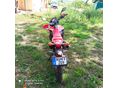 HONDA CRF 300 L 2025/4 - 2