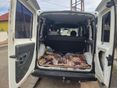 FIAT DOBLO 2003/10 - 12