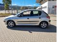 PEUGEOT 206 2004/11 - 8
