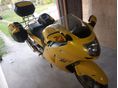 HONDA CBR 1100 XX 2003/9 - 9