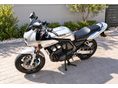 YAMAHA FZS 600 (FAZER) 