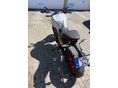 DUCATI MONSTER 797 2017/2 - 2
