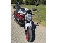 DUCATI MONSTER 797 2017/2 - 3