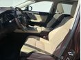 LEXUS RX 2018/9 - 6