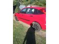 FORD FOCUS 2001 - 5