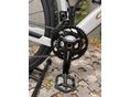 BICYCLE 2026/6 - 4