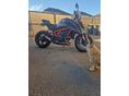 KTM 1290 SUPER DUKE R 2021/4 - 5