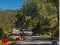 FORD FOCUS 2018/8 - 3