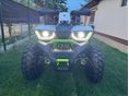 TAO HUNTER 2024 - 2