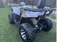 TAO HUNTER 2024 - 8