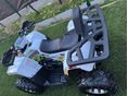 TAO HUNTER 2024 - 10