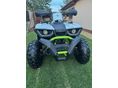 TAO HUNTER 2024 - 11